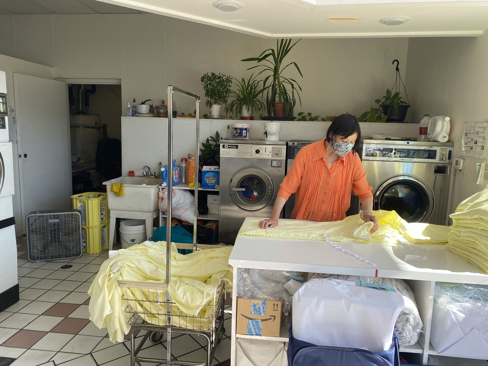 All Star Cleaners